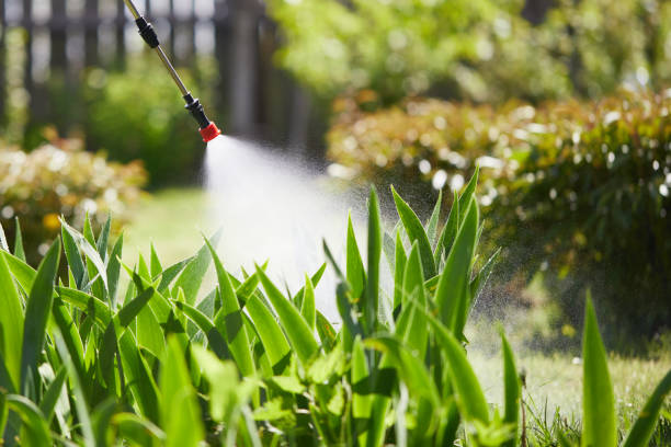 Tamper-Resistant Bait Stations for Rodents in Rosenberg