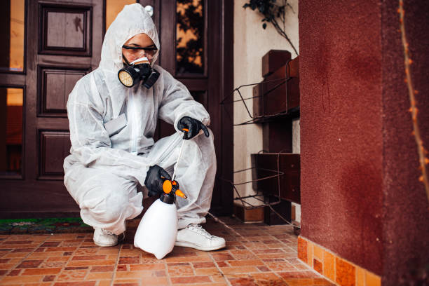 Attic and Crawl Space Rodent Treatment in Rosenberg