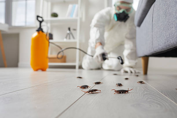 Commercial Rodent Management in Rosenberg
